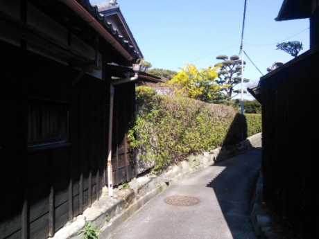 画像19